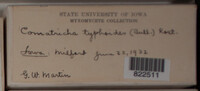 Image Associated With the Occurence